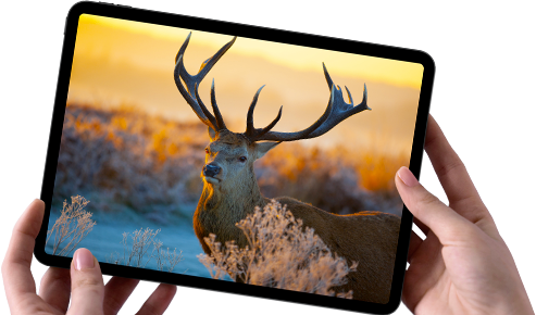 tablet