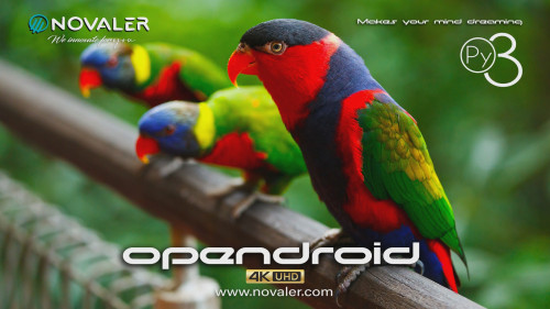 Opendroi  7.3 Novaler Multibox 4k Full-Backup