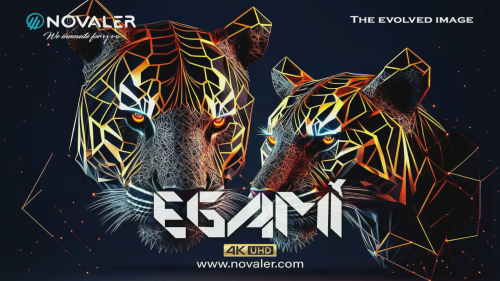 Egami 10.6r10 Novaler Multiboxse 4k Full-Backup